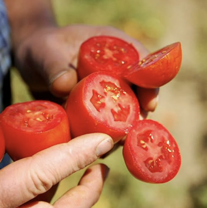 Organic Crushed Puree Chopped Tomatoes - Bianco Dinapoli